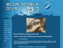 Tablet Screenshot of bluewhaledive.co.uk